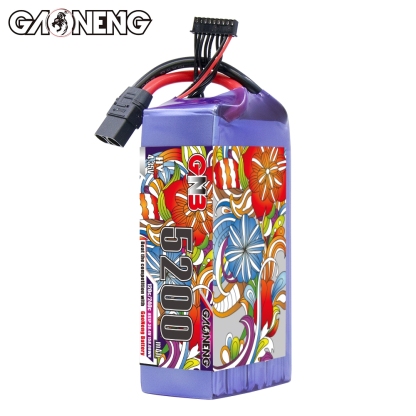 GAONENG GNB HV 8S 30.4V 5200mAh 120C LiPo Battery XT90