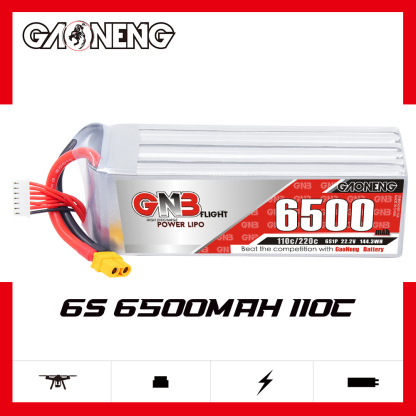GAONENG GNB 6S 22.2V 6500mAh 110C LiPo Battery XT60