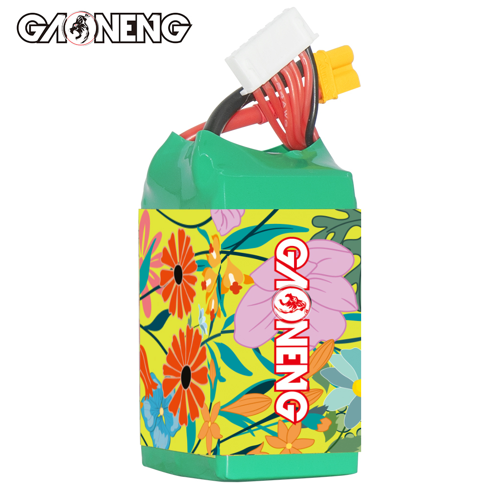 GAONENG GNB 6S 22.2V 700mAh 120C XT30 LiPo Battery