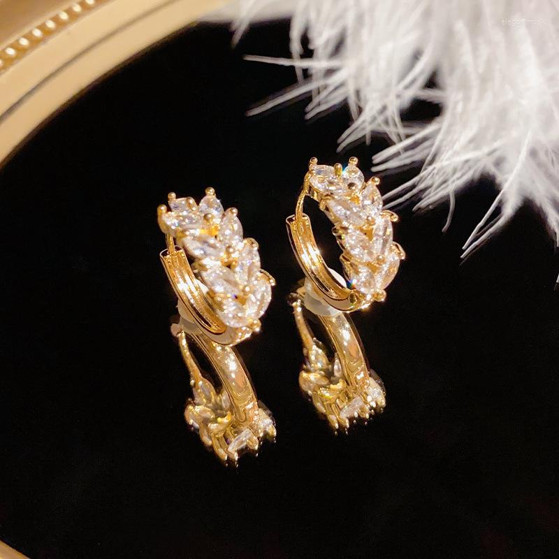 16K Gold Plated Wheat Hoop Earrings With Shiny Zircon