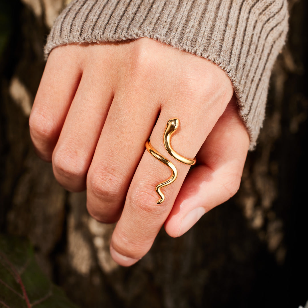 🎄Christmas Pre-sale🎁925 Sterling Silver Year of Snake Minimalist Snake Open Ring