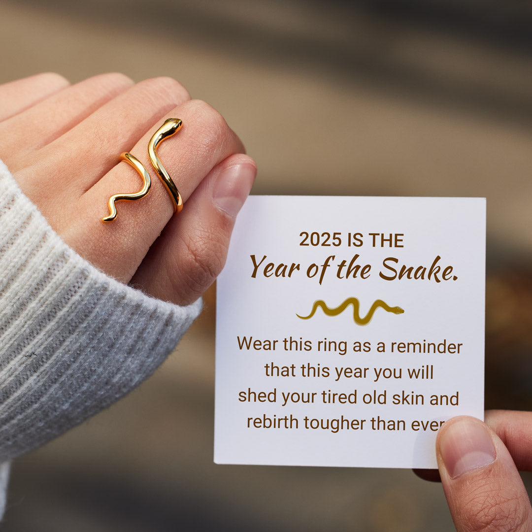 🎄Christmas Pre-sale🎁925 Sterling Silver Year of Snake Minimalist Snake Open Ring