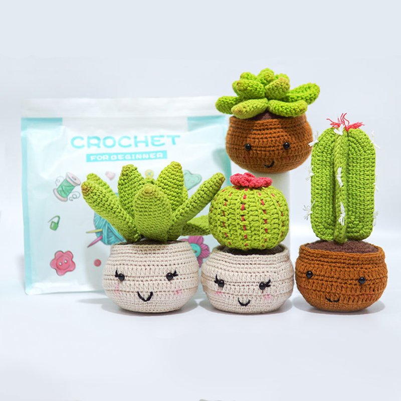 Crochet Kit for Beginners - 4Pcs Succulents, Beginner Crochet Starter Kit  for Complete Beginners Adults, Crocheting Knitting Kit with Step-by-Step  Video Tutorials