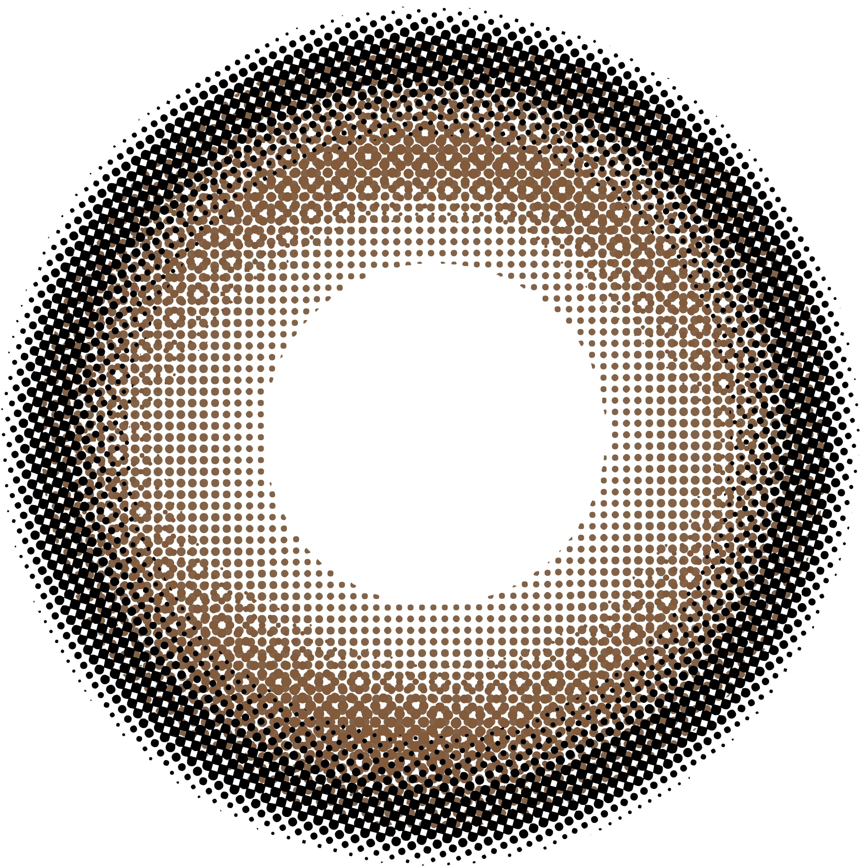 Cheese Tart Brown Yearly Contact Lenses