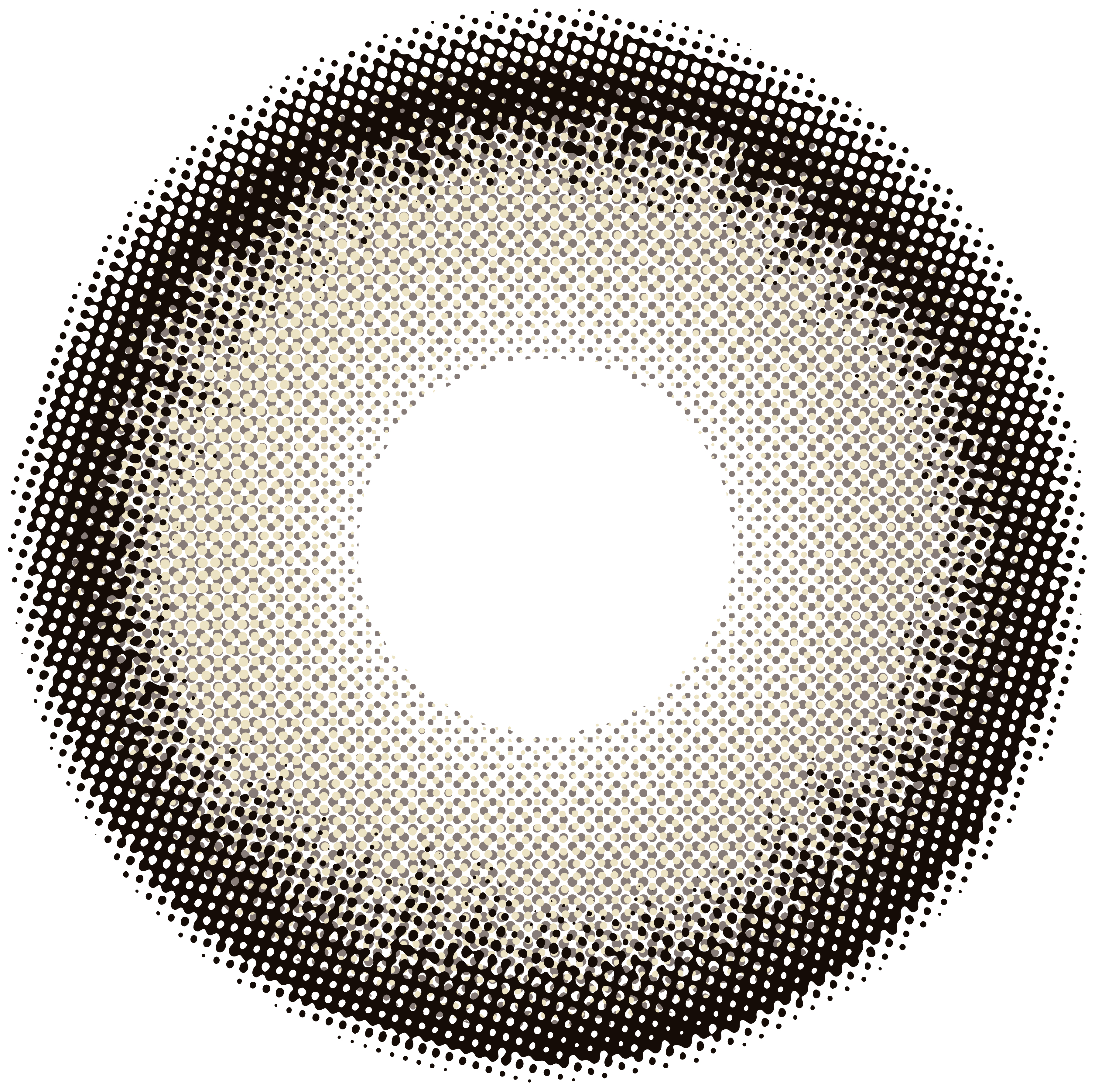 Cambridge Brown Yearly Contact Lenses