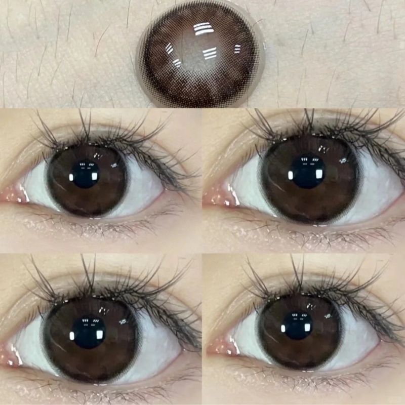 Mousse Brown 6 Months Contact Lenses