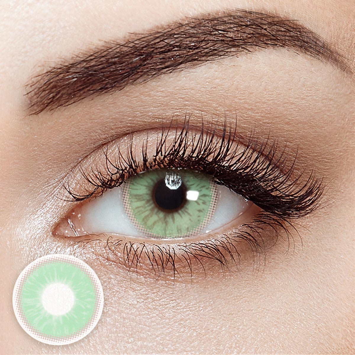 Elementia Green 6 Months Contact Lenses