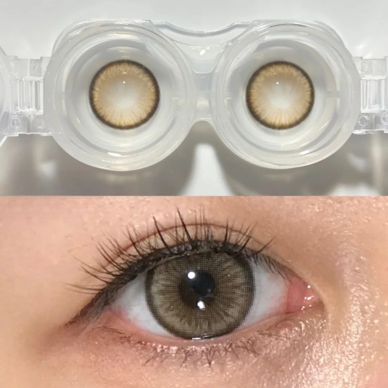 Maple Brown Yearly Contact Lenses