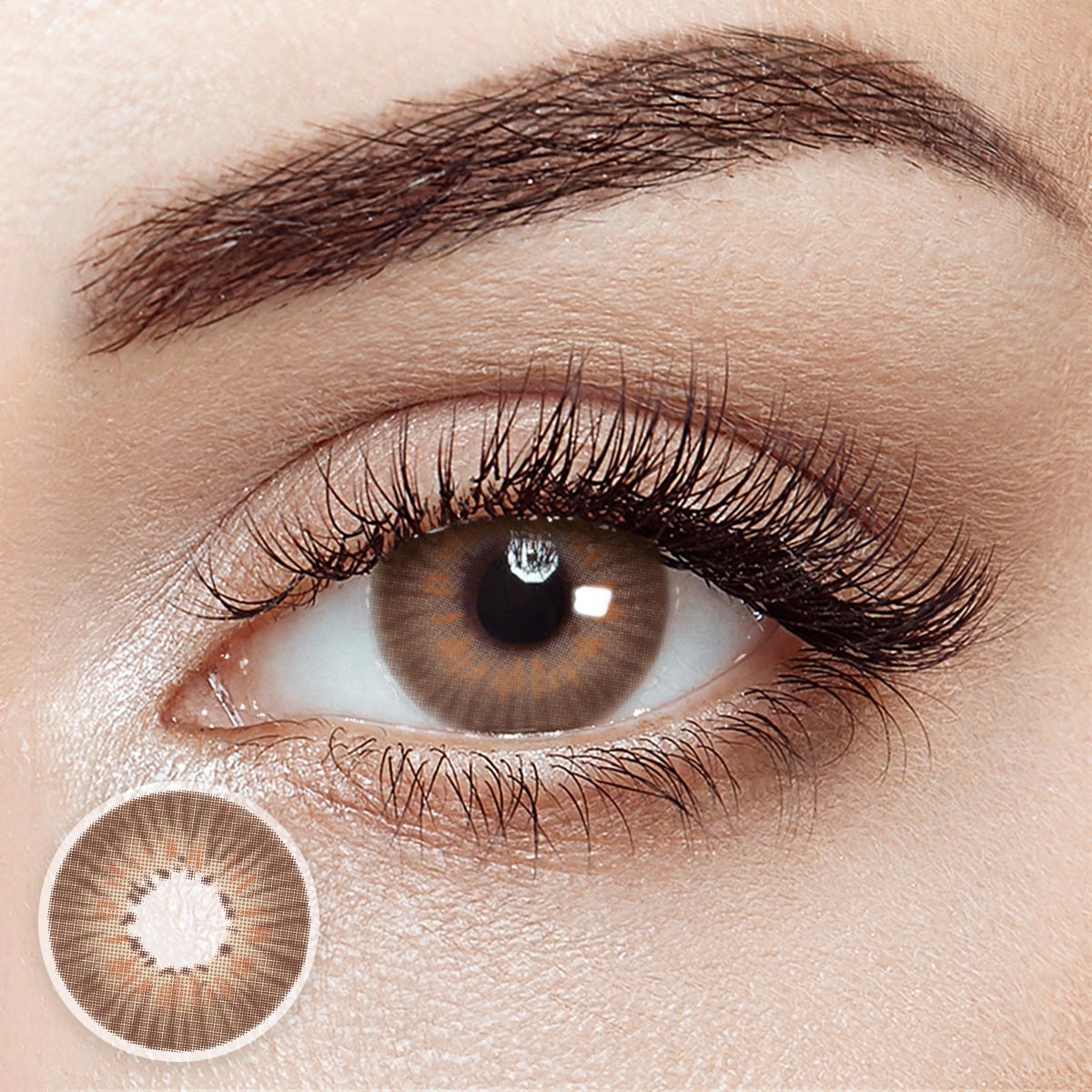 Echo Brown 6 Months Contact Lenses