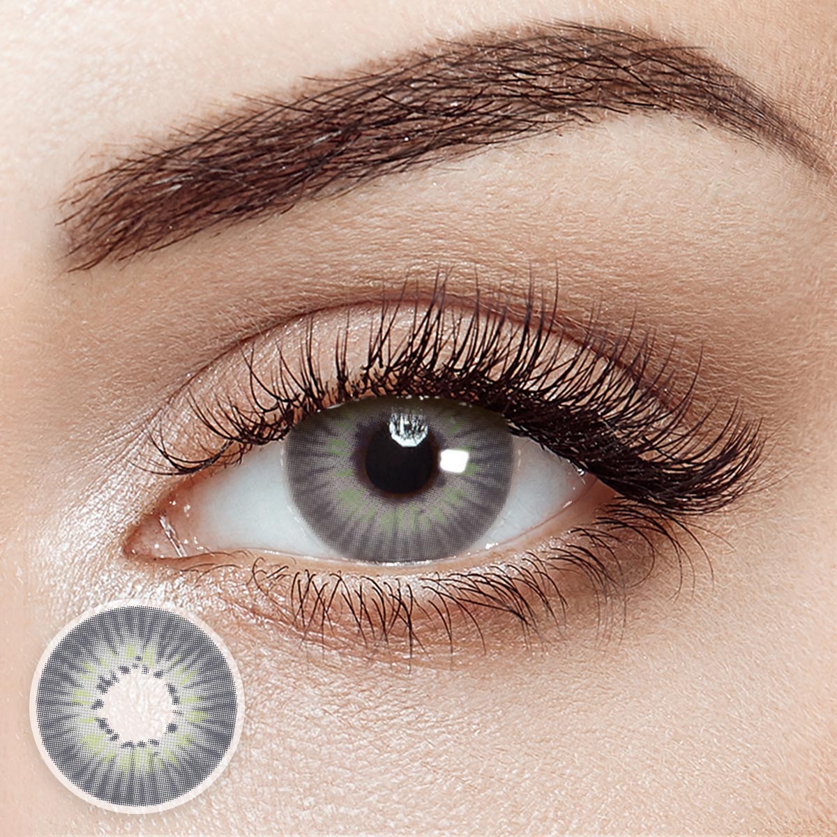 Echo Gray 6 Months Contact Lenses