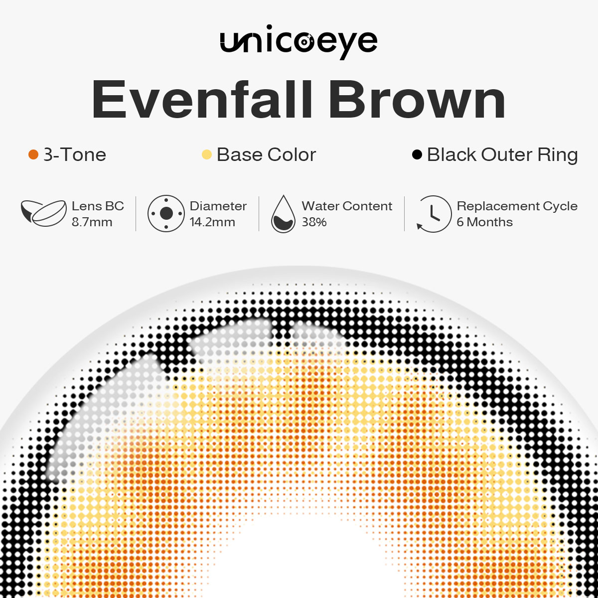 Evenfall Brown 6 Months Contact Lenses