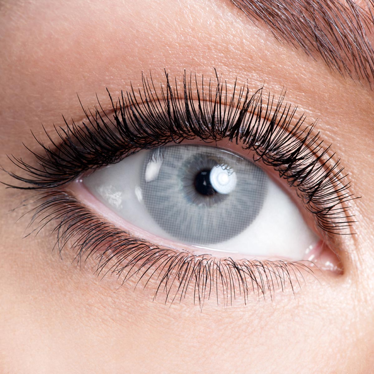 [Pre-Sale] Lullaby Gray 6 Months Contact Lenses