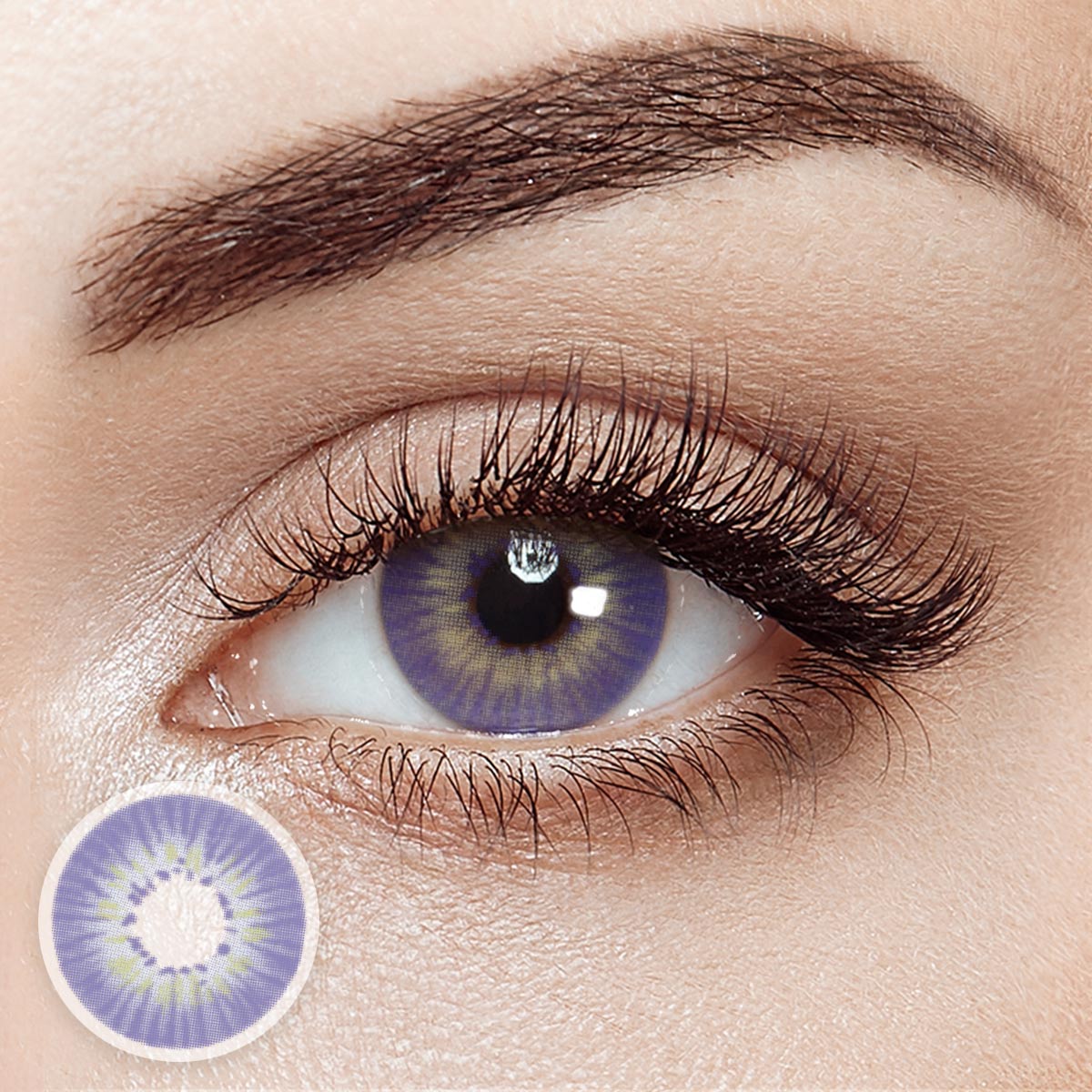 Echo Purple 6 Months Contact Lenses