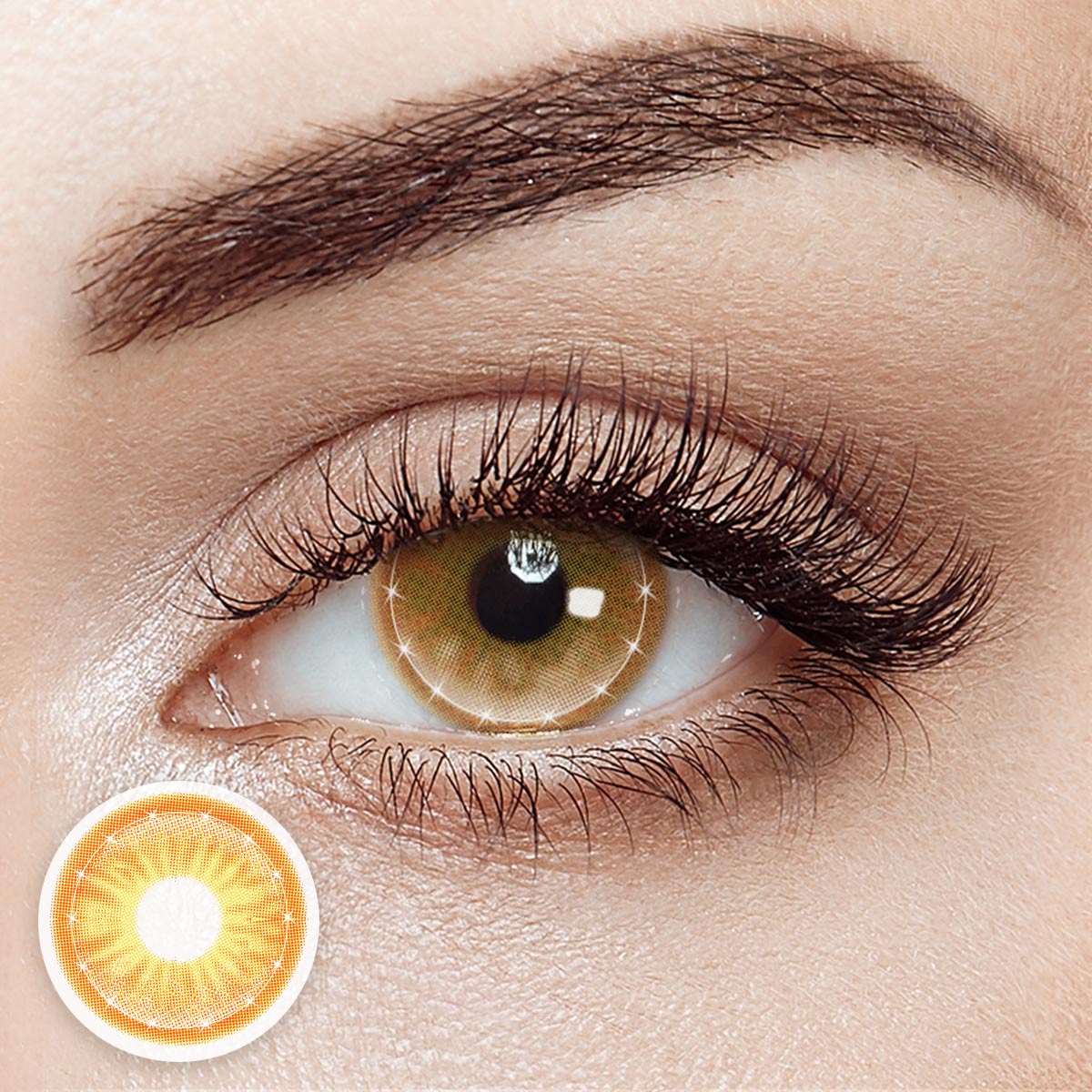 Sonel Brown 6 Months Contact Lenses