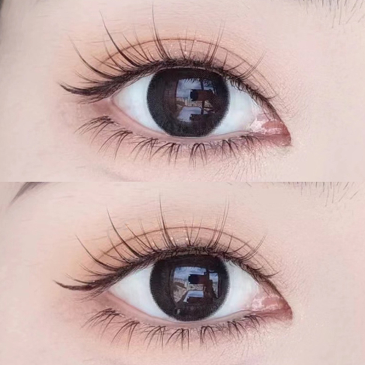 Cheers Baby 5 Pairs Natural Lashes