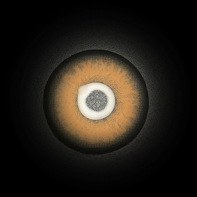 Himalayan Brown Yearly Contact Lenses