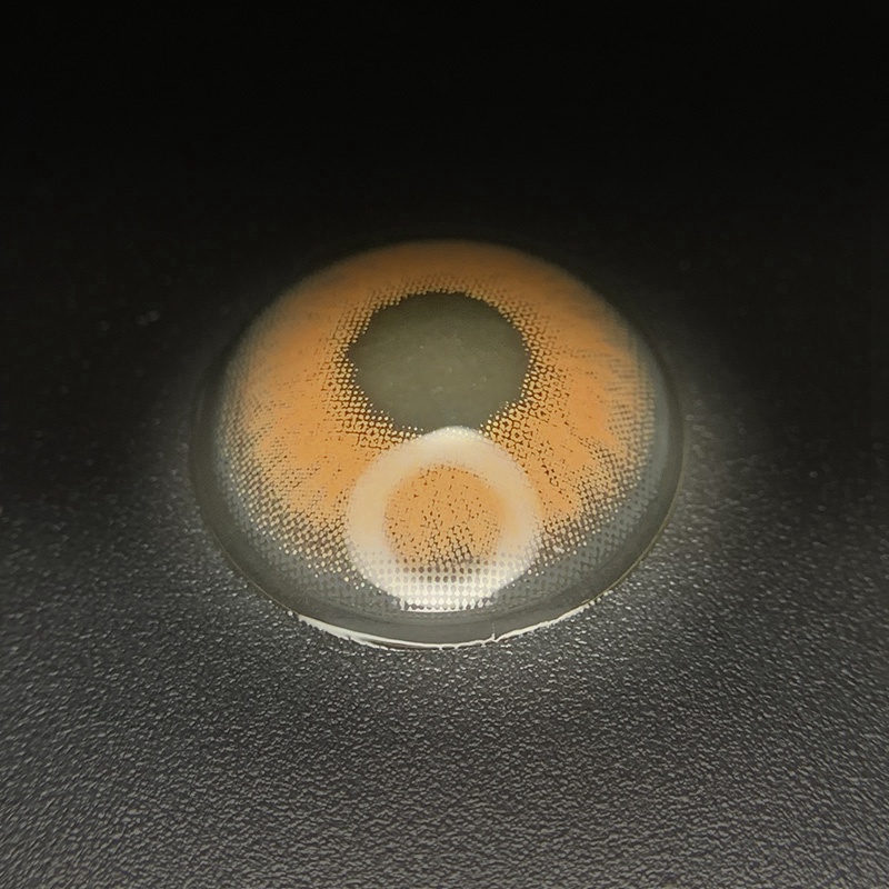 Himalayan Brown Yearly Contact Lenses