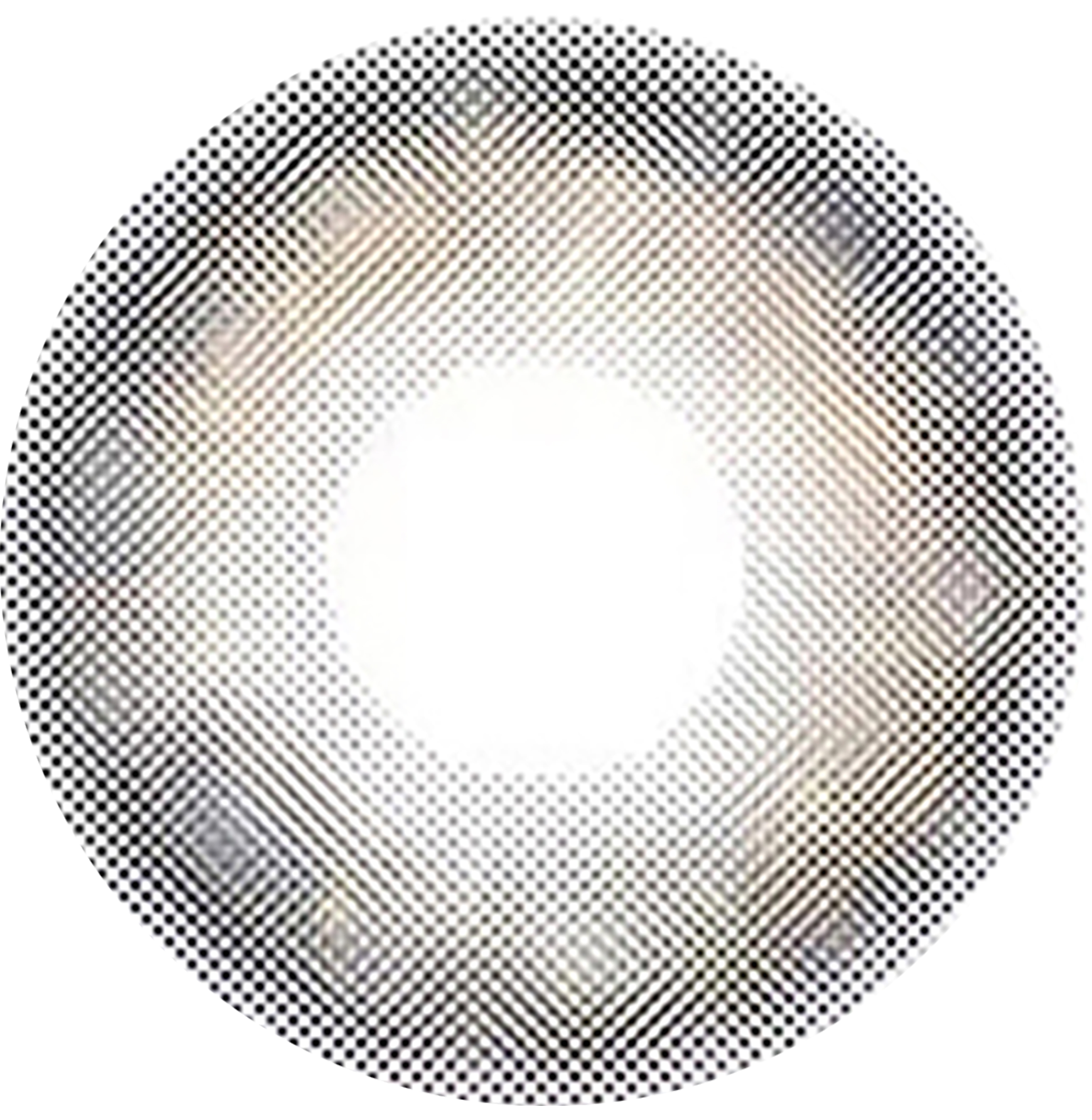 Phantom Grey Yearly Contact Lenses