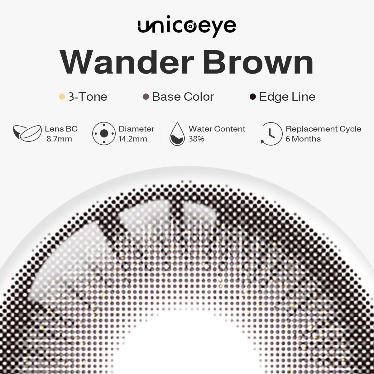 Wander Brown 6 Months Contact Lenses | 2 Pcs