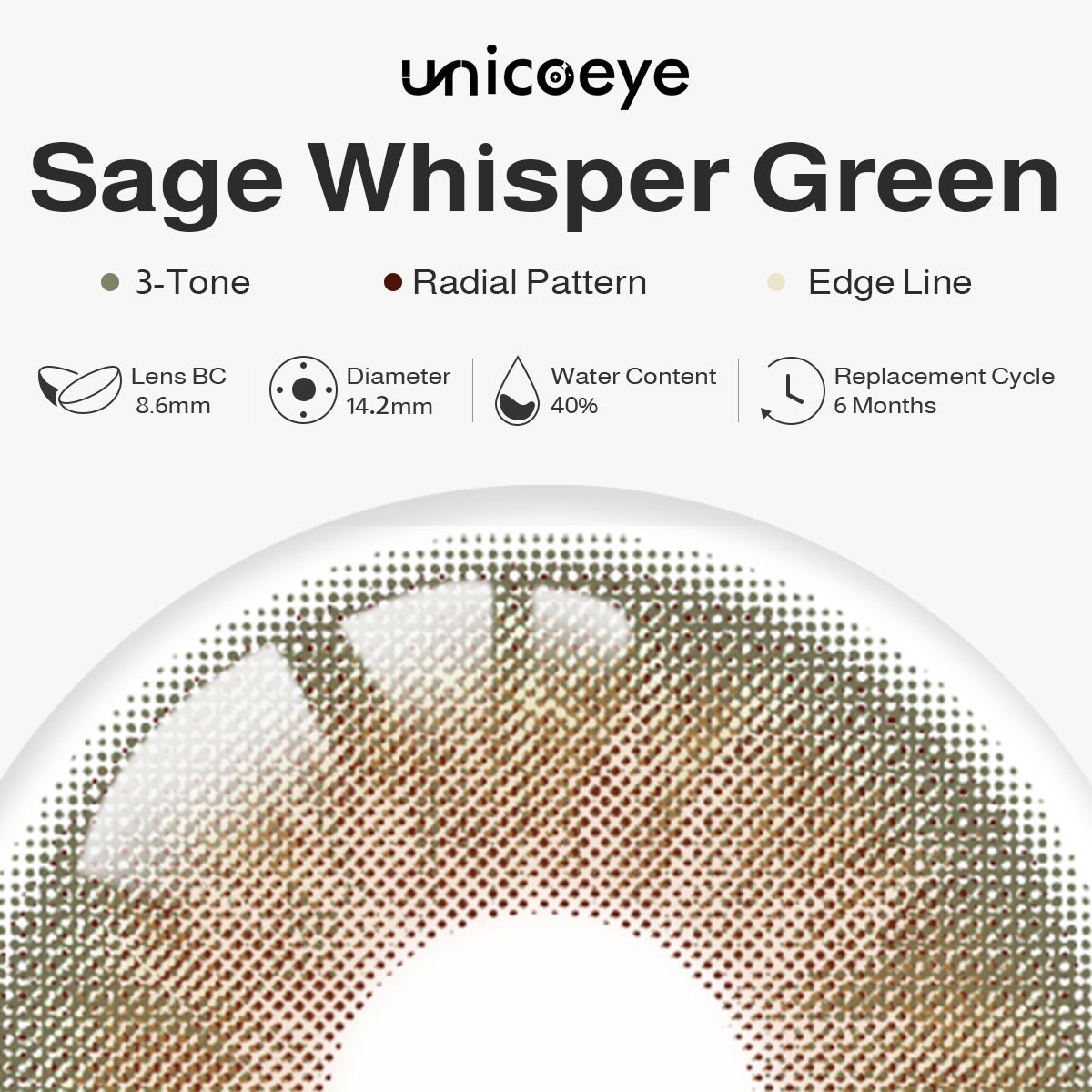 Sage Whisper Green 6 Month Contact Lenses | 2 Pcs