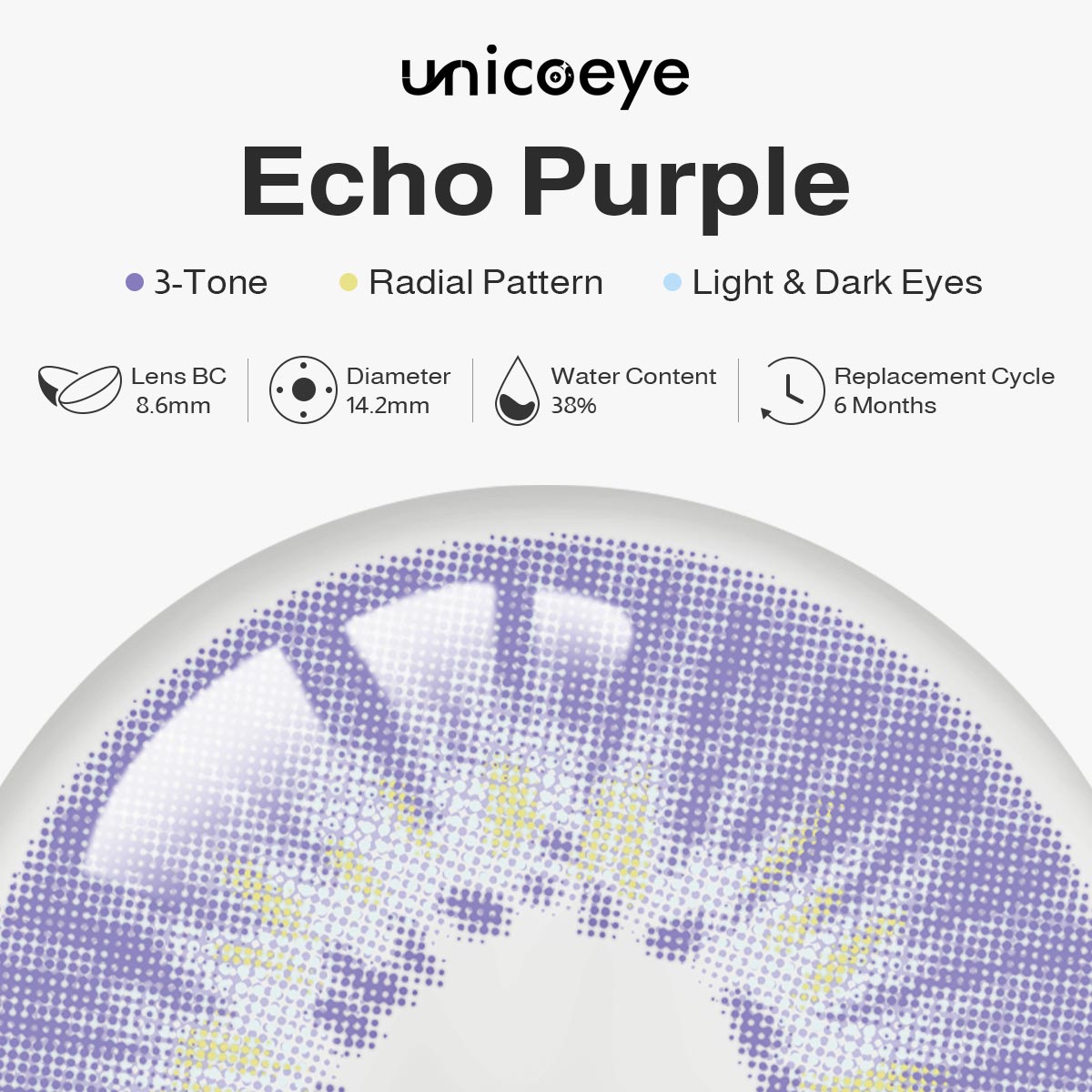 Echo Purple 6 Months Contact Lenses