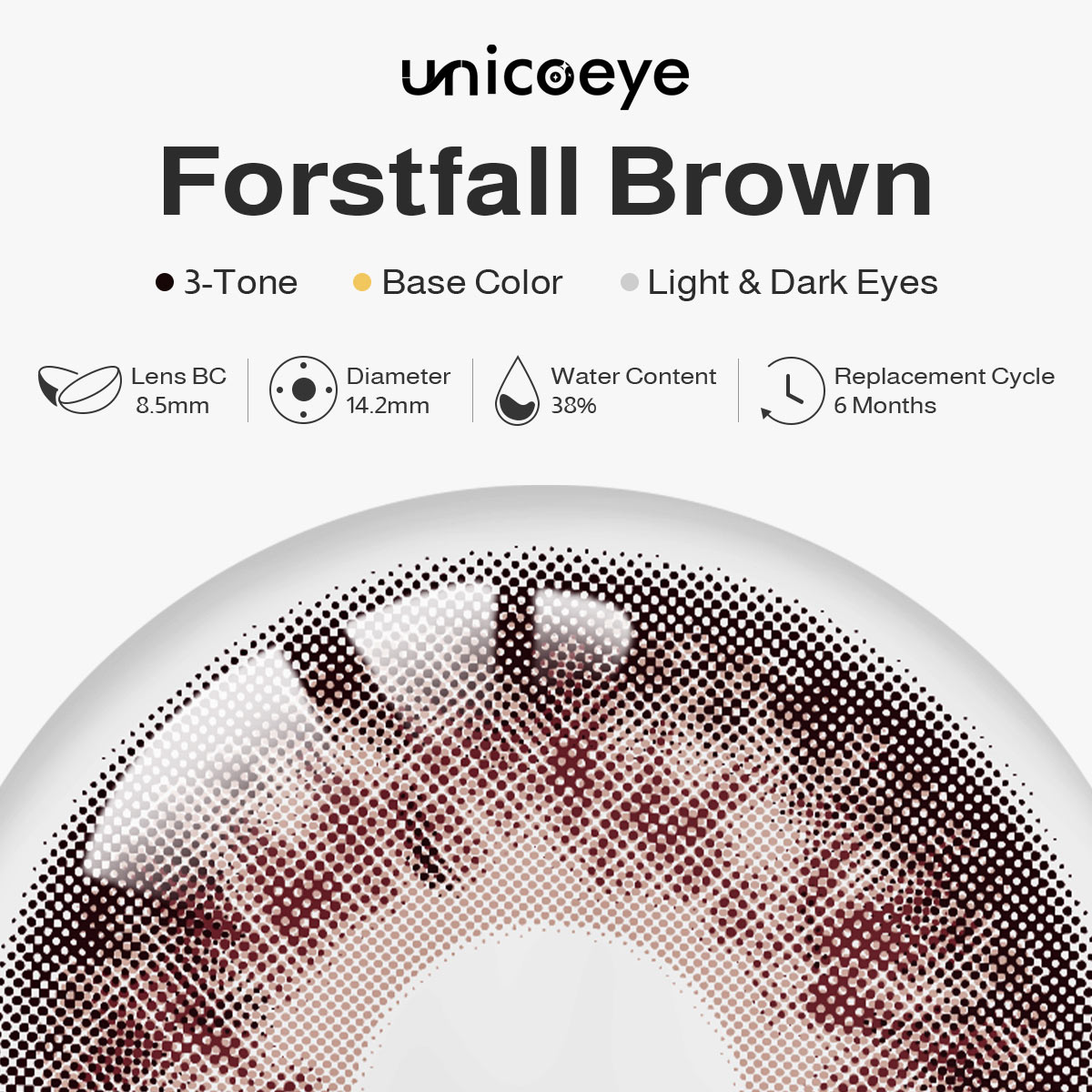 [Pre-Sale] Forstfall Brown 6 Months Contact Lenses | 2 Pcs