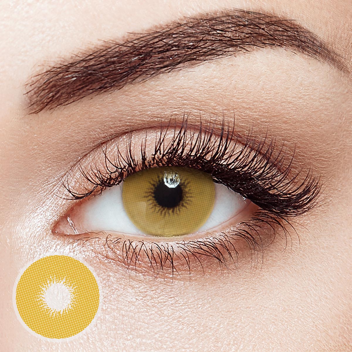 [Pre-Sale] Fuji Brown 6 Months Contact Lenses