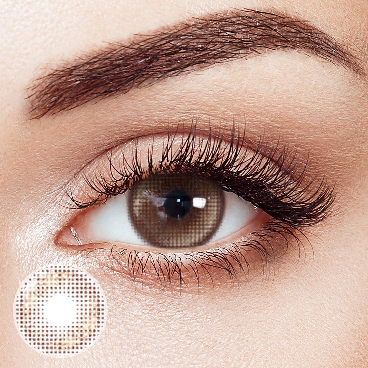 Taupe Brown Prescription 6 Months Contact Lenses | 2pcs