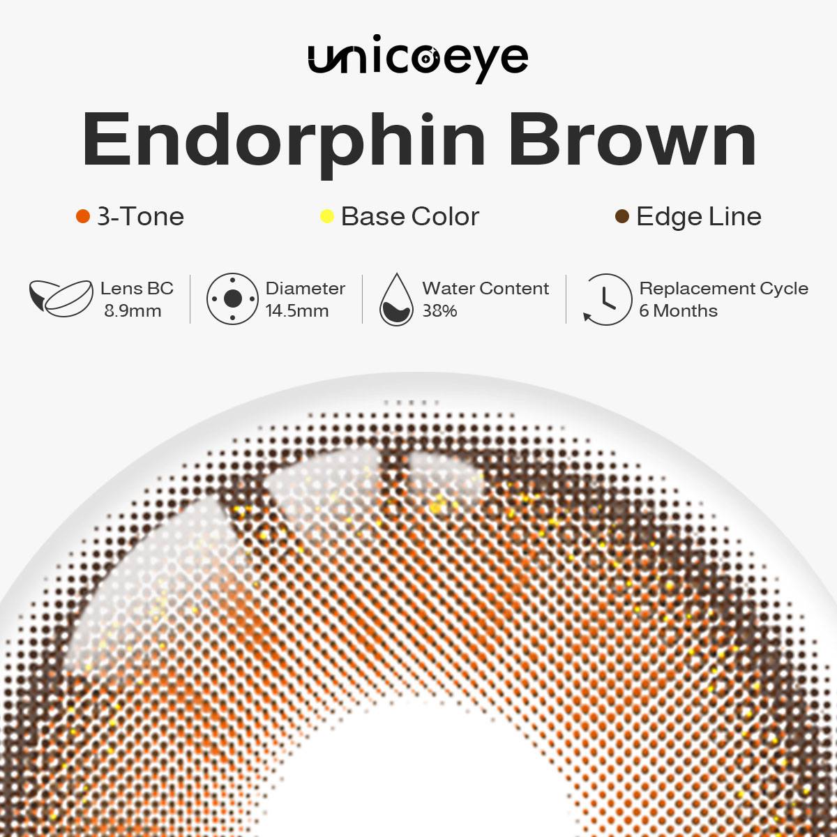 Endorphin Brown 6 Months Contact Lenses | 2 Pcs