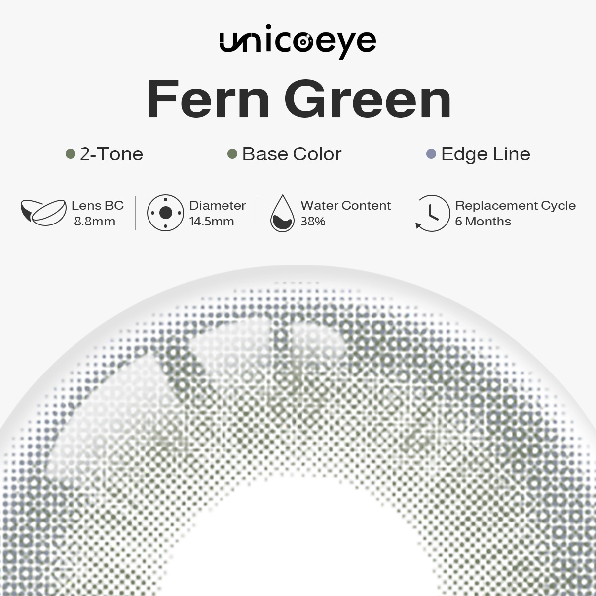 Fern Green 6 Months Contact Lenses | 2pcs