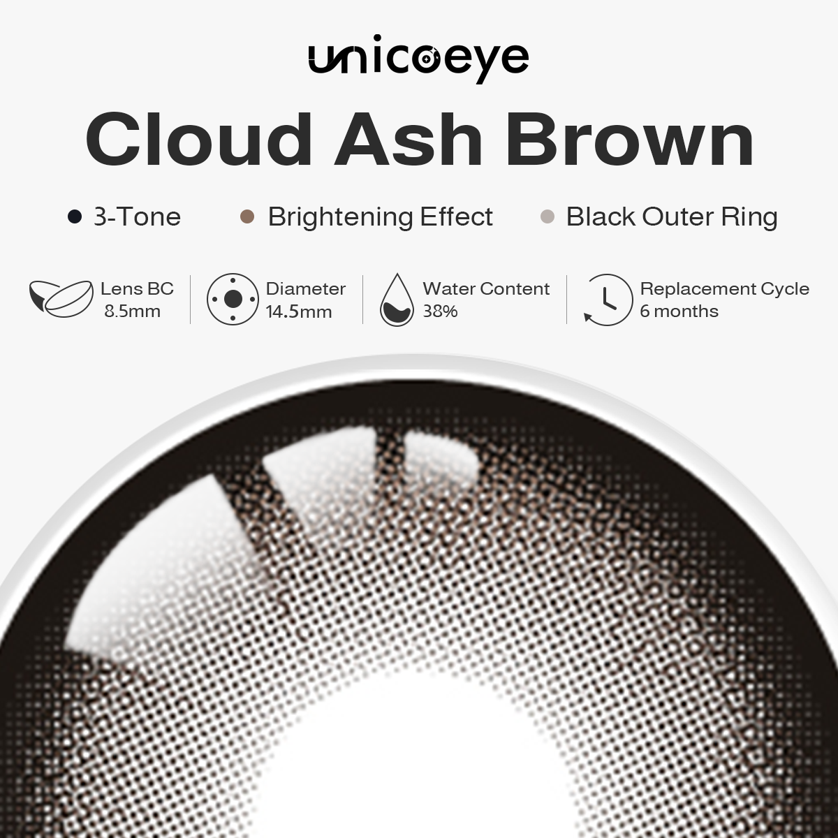 Cloud Ash Brown 6 Months Contact Lenses | 2 Pcs