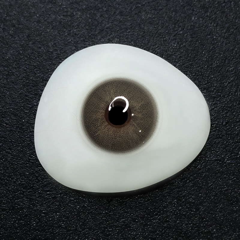 Cocoa Fleur Brown 6 Months Contact Lenses | 2 Pcs