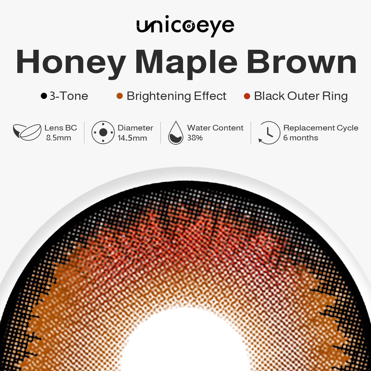 Honey Maple Brown 6 Month Contact Lenses | 2 Pcs