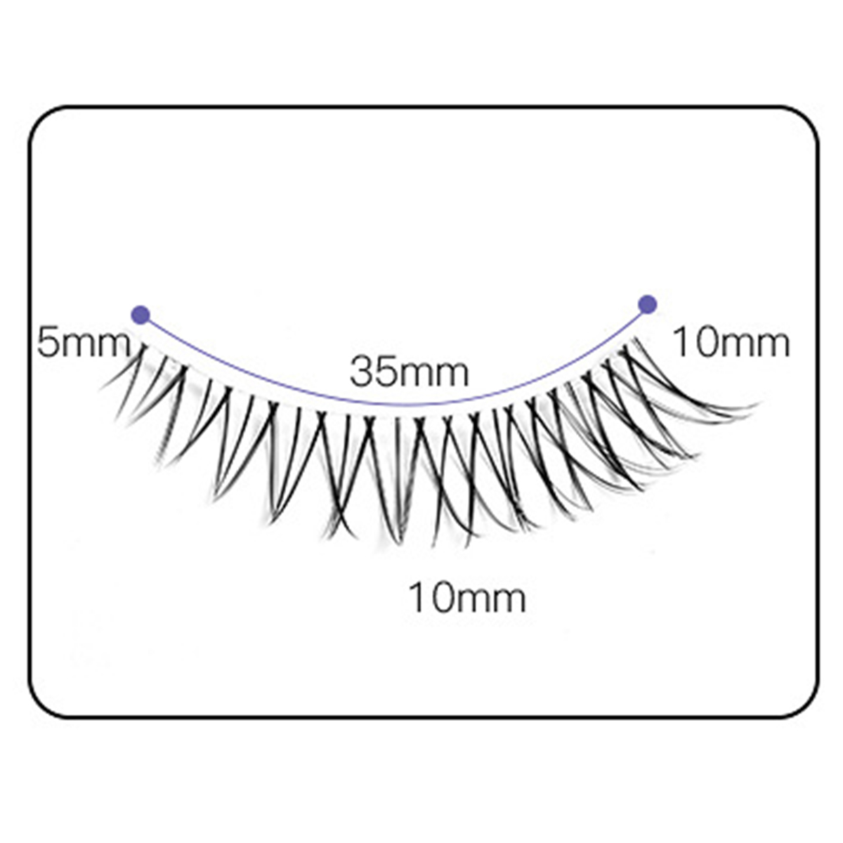 Starry Nightfall Ⅲ 3 Pairs Natural Lashes