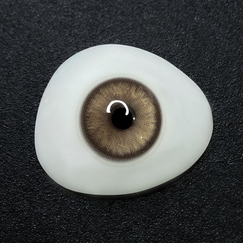 Najia Brown 6 Months Contact Lenses | 2 Pcs