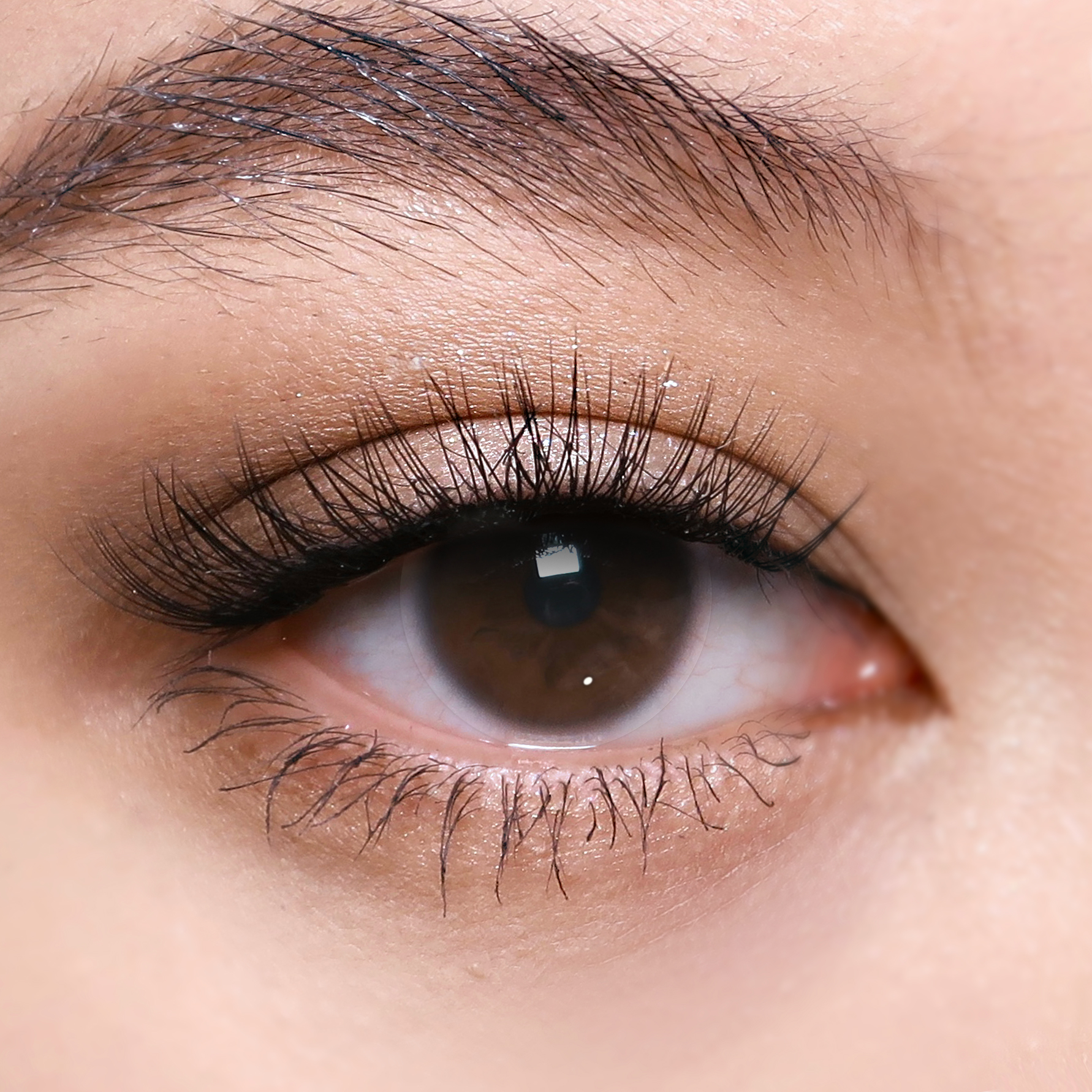 Clear Prescription 6 Months Contact Lenses | 2 Pcs