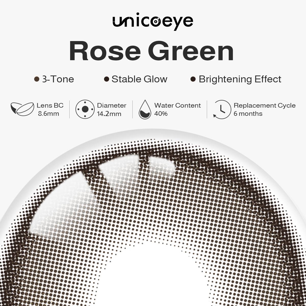 Stable Glow | Rose Green 6 Months Contact Lenses | 2 Pcs