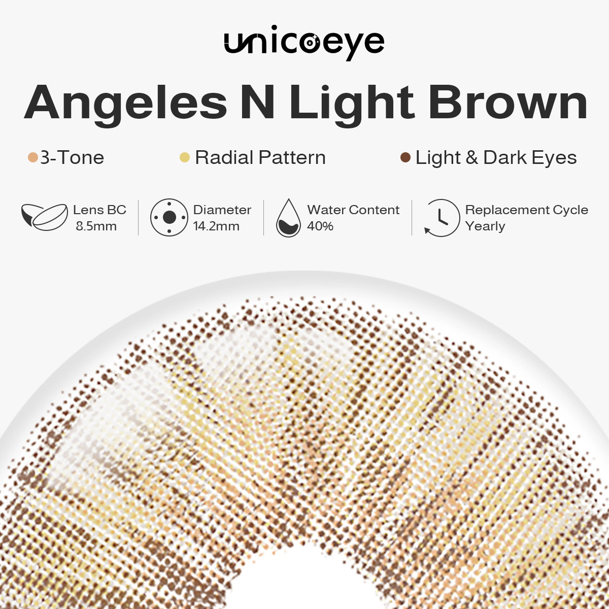 Angeles N Light Brown Yearly Contact Lenses | 2 Pcs