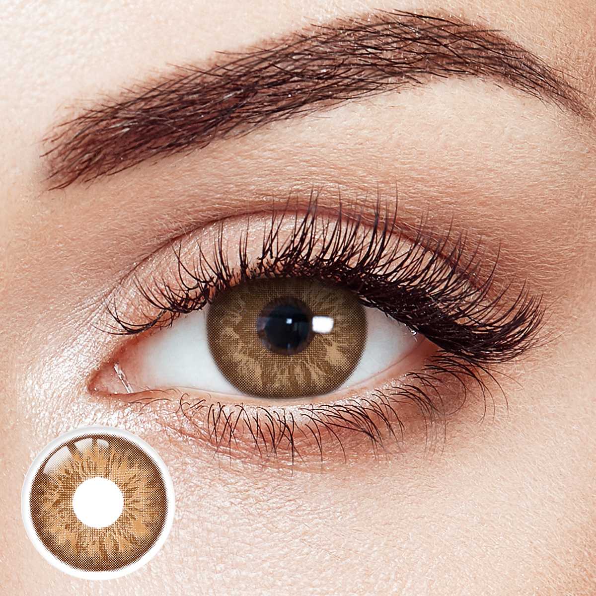 Solar Flare Brown Yearly Contact Lensess | 2 Pcs