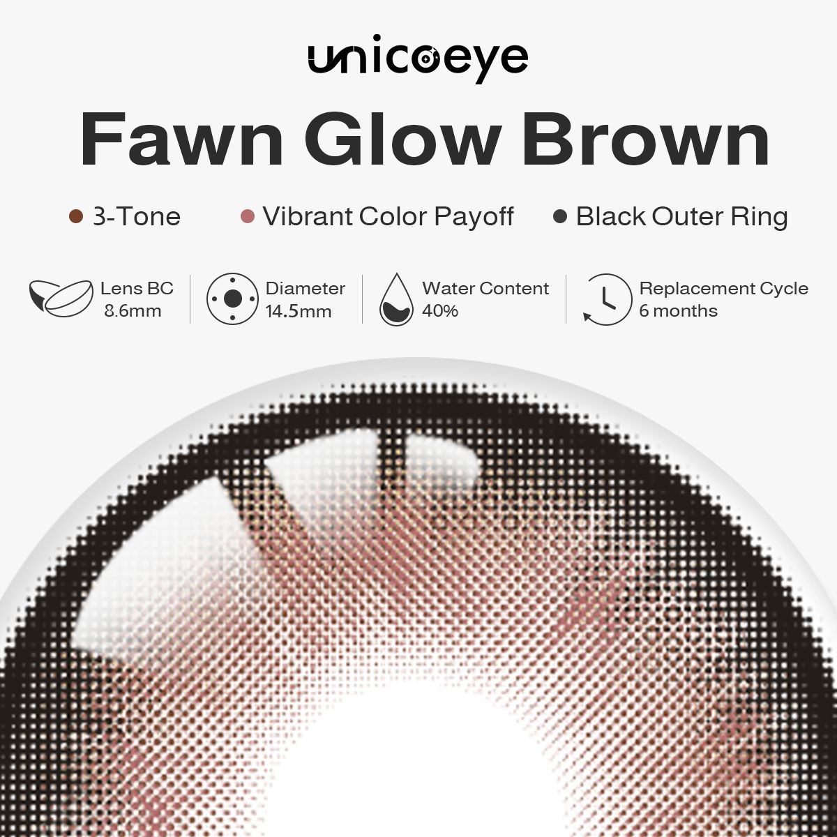 Fawn Glow Brown 6 Month Contact Lenses | 2 Pcs