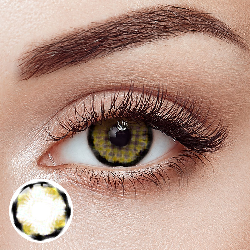 Maple Brown Yearly Contact Lenses