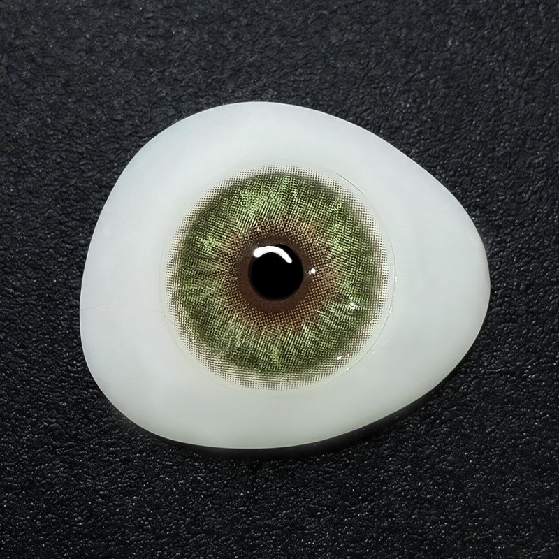Honey Olive Green Yearly Contact Lenses | 2 Pcs