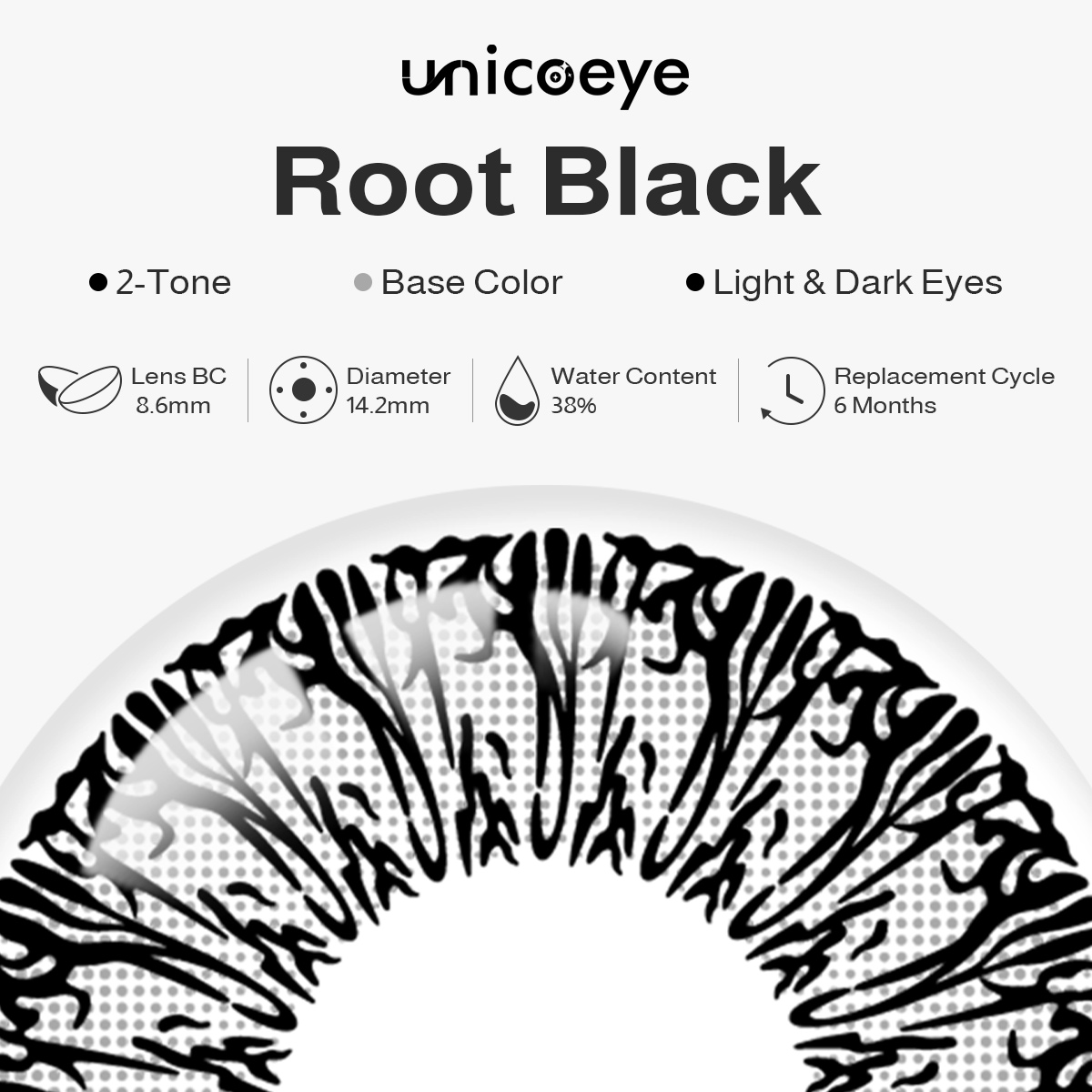 Root Black 6 Months Contact Lenses | 2 Pcs
