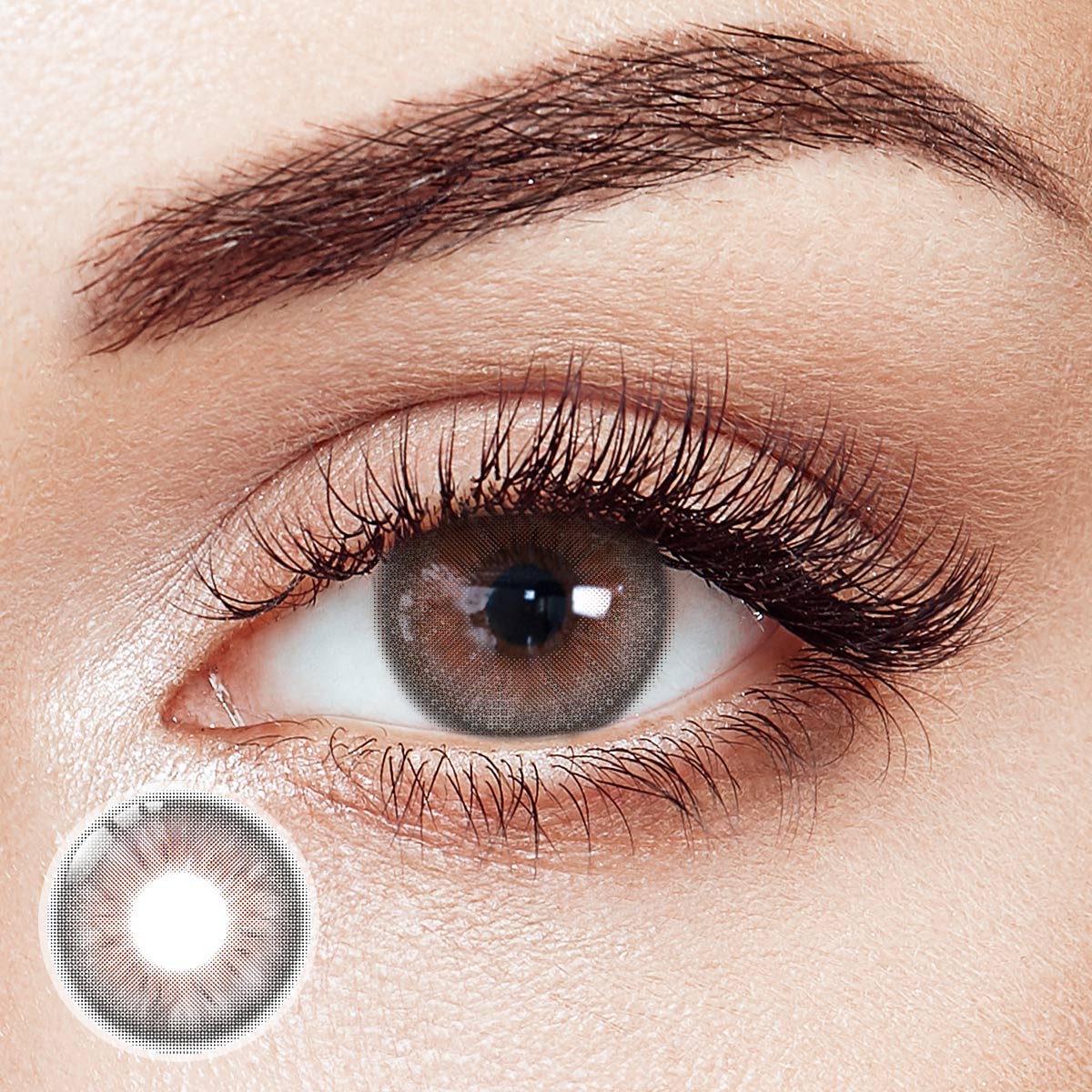 Early Autumn Gray Yearly Contact Lenses | 2 Pcs