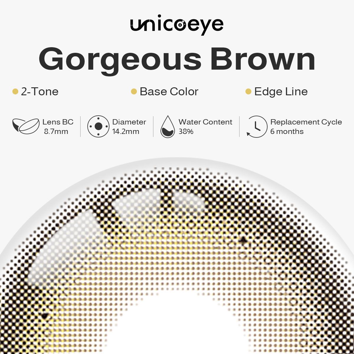 Gorgeous Brown 6 Months Contact Lenses | 2 Pcs