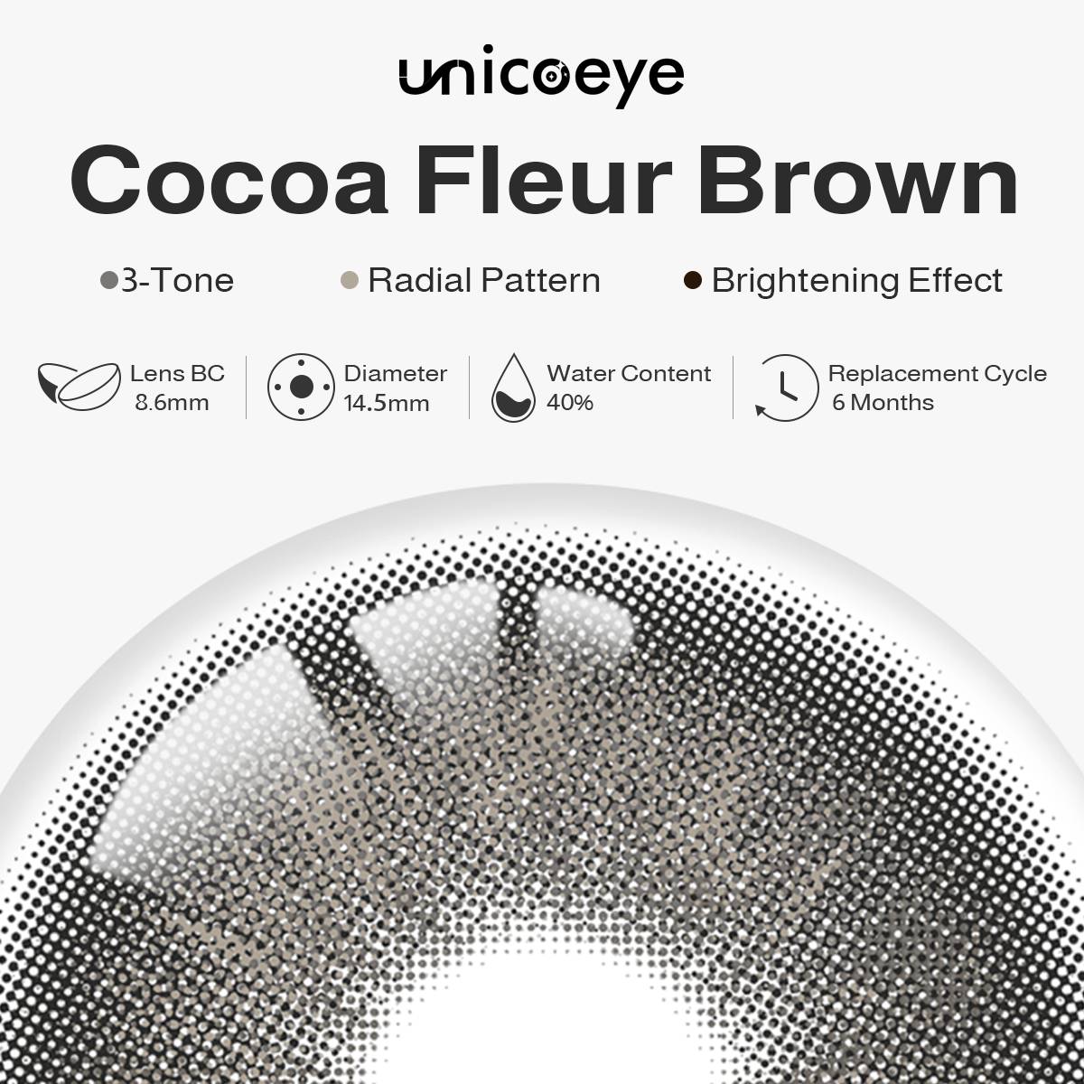 Cocoa Fleur Brown 6 Months Contact Lenses | 2 Pcs