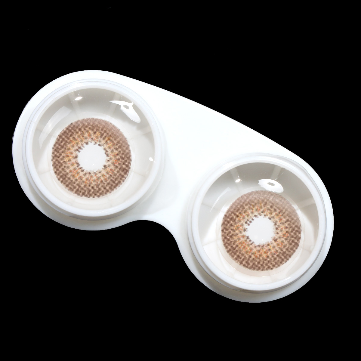 Echo Brown 6 Months Contact Lenses