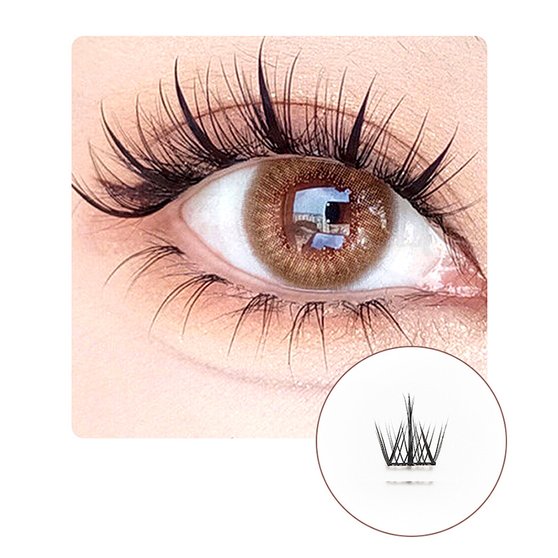 Forest Rhyme Segmented Natural Lashes