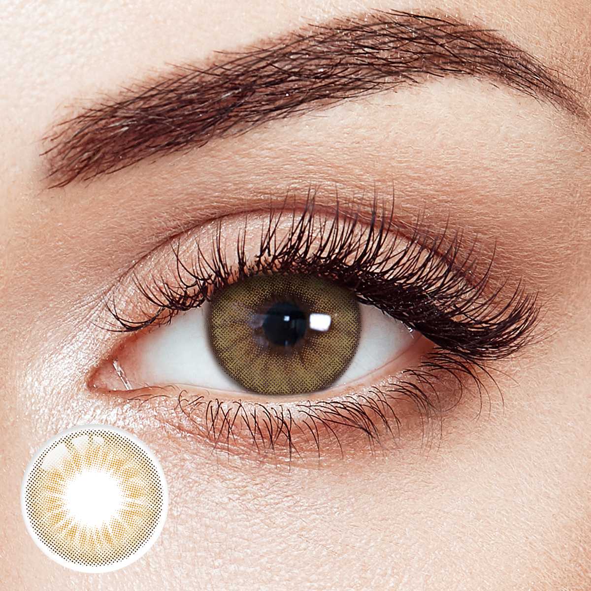 Golden Ember Hazel 6 Months Contact Lenses | 2 Pcs