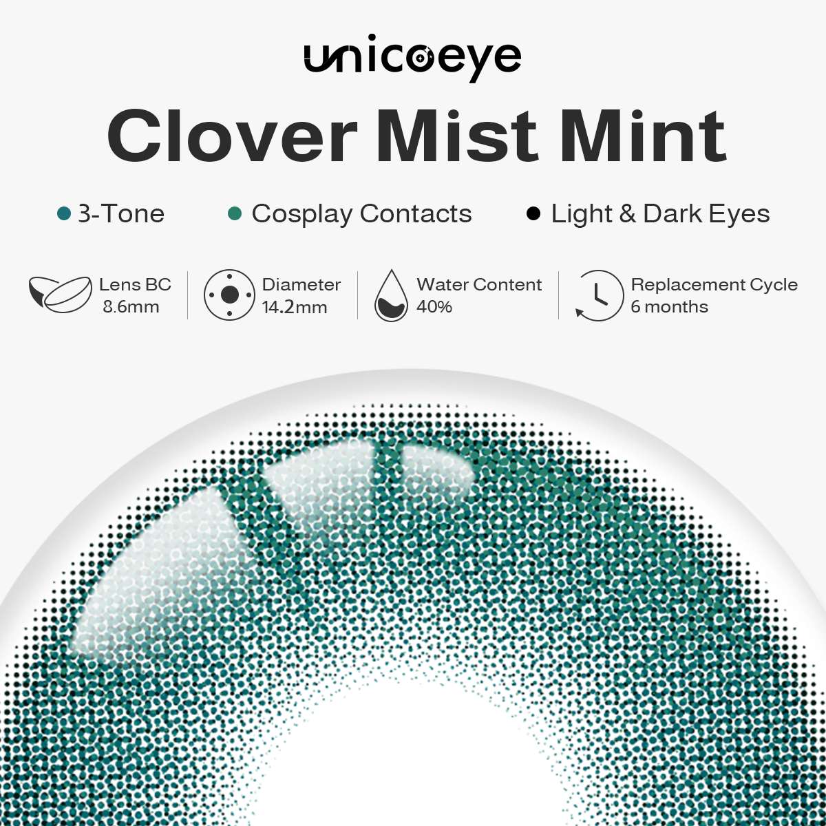 Clover Mist Mint 6 Months Contact Lenses | 2 Pcs